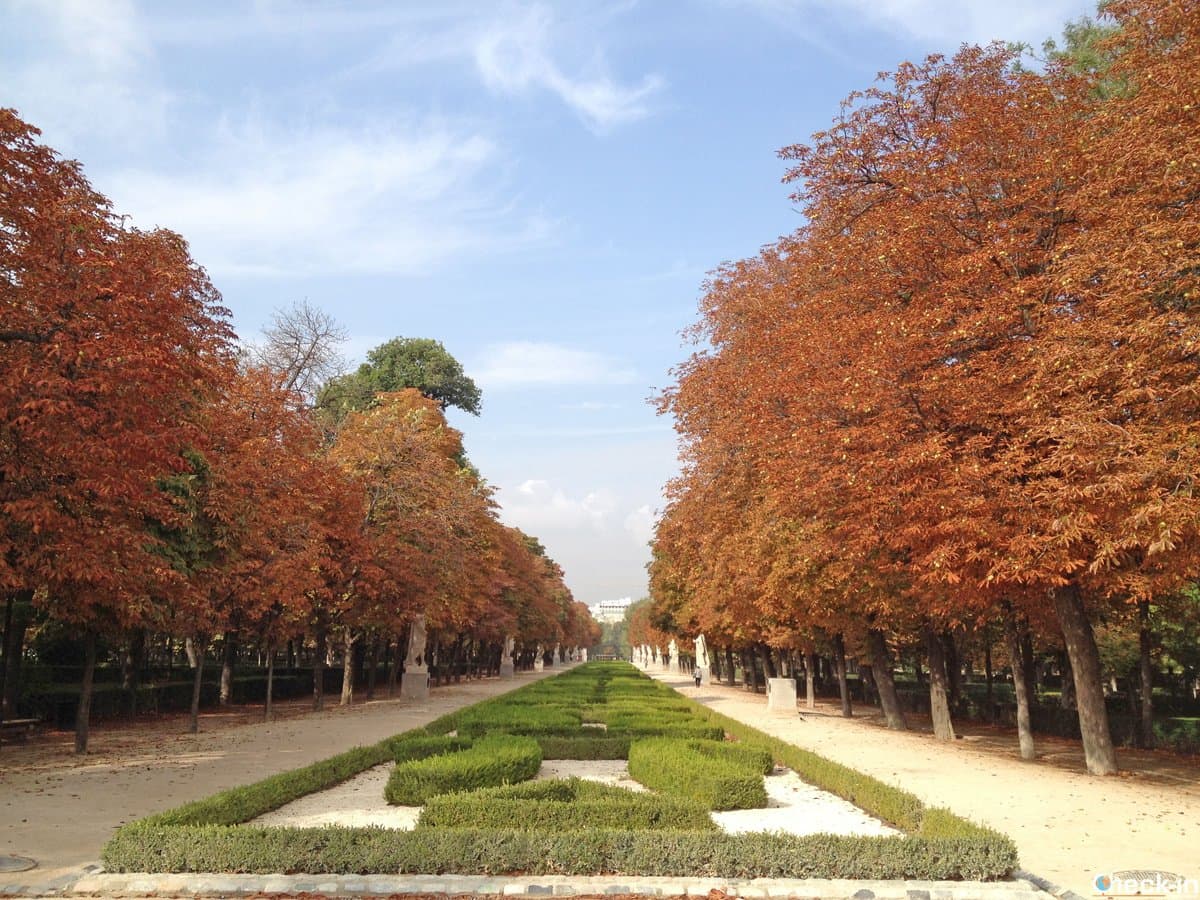 FOLLIA D'AUTUNNO: MADRID IN GIORNATA